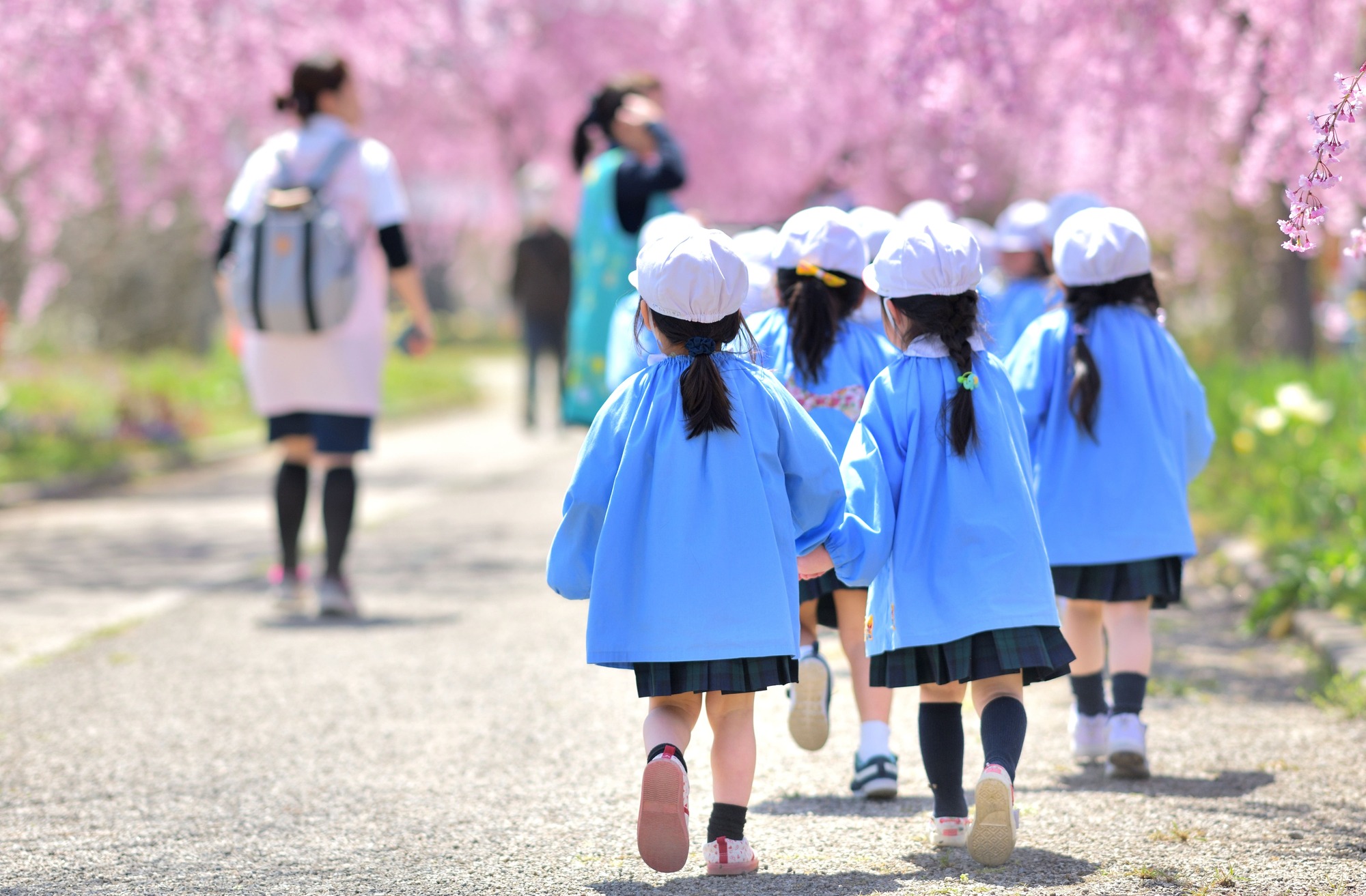 若い女性の先生